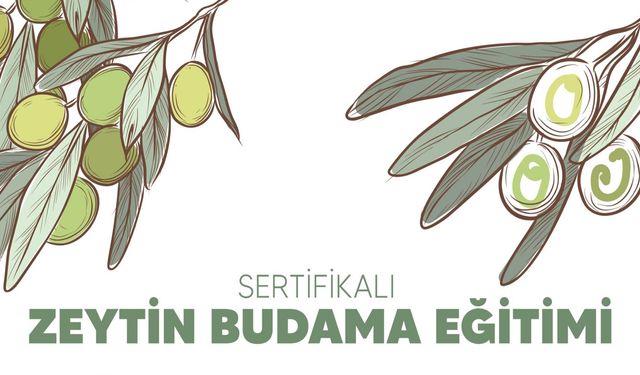 Buca'da Ücretsiz Sertifikalı Zeytin Budama Eğitimi