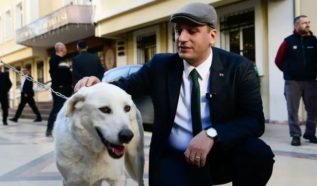 Başkan Eşki'den Hayvanseverlere: "İçiniz Çok Rahat Olsun"