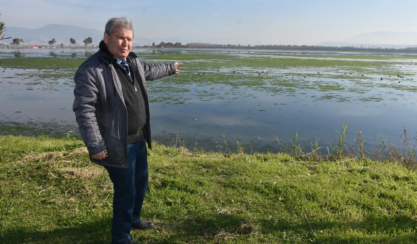 "Bu Sene İzmir Körfezi'nde Deniz Marulu Hiç Bitmedi"