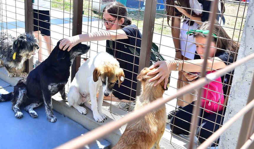 İzmirliler PAKOFEST'te Patili Dostlarla Buluştu