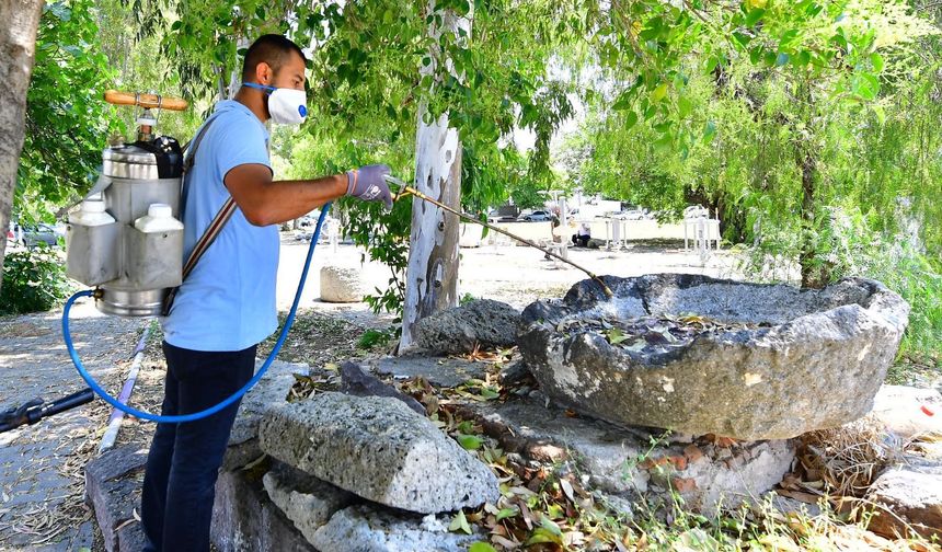 İzmir'de Sivrisineklere Karşı Etkin Mücadele