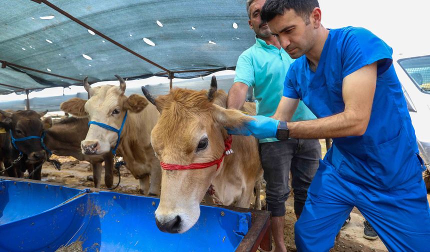 Buca'da Kurban Bayramı Öncesi Denetim