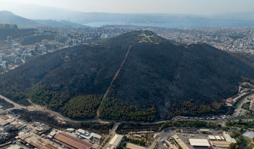 İzmir'deki Yangından 4 Bin Hektarlık Alan Etkilendi