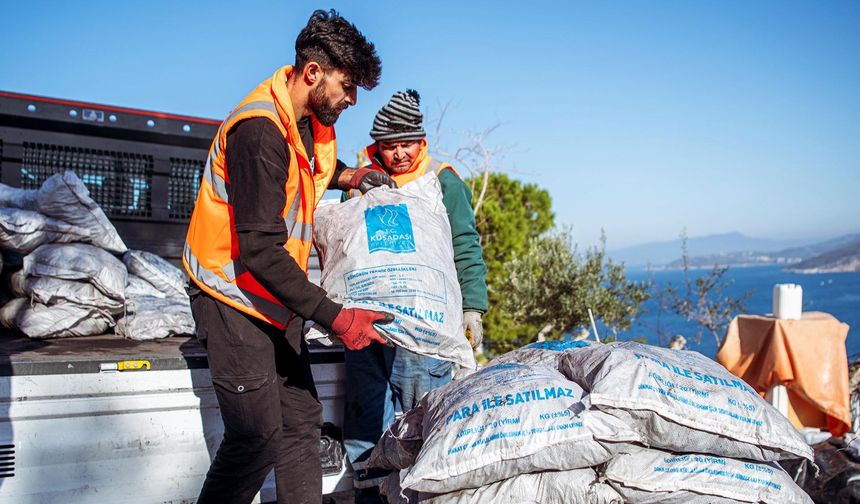 Kuşadası Belediyesi'nin Yakacak Yardımı Başladı