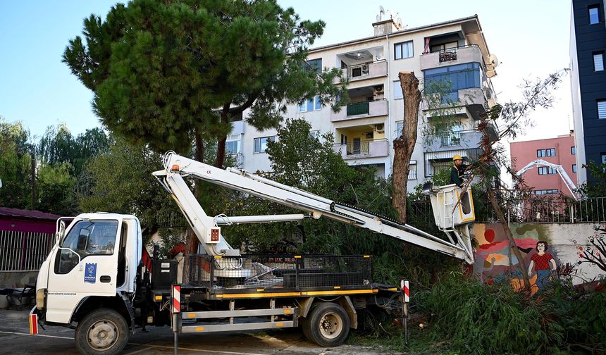 Kuşadası'nda Ağaç Atıkları Yakacağa Dönüşüyor