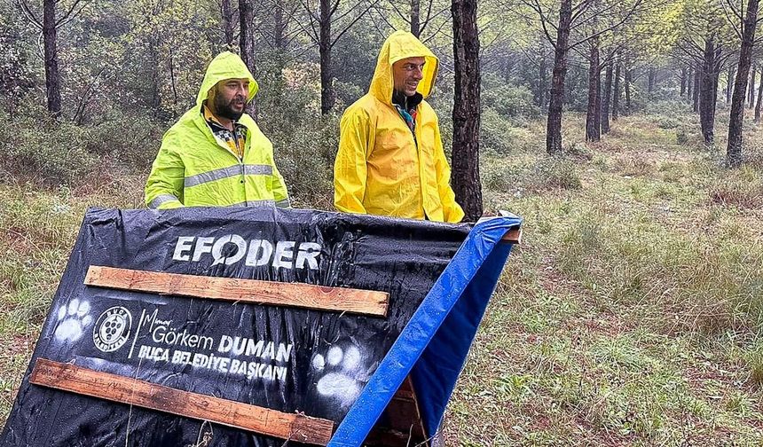 Buca'da Atık Malzemeler Can Dostlar İçin Yuvaya Dönüşüyor