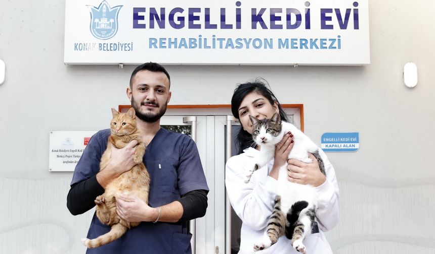 Konak'ın Engelleri Aşan Kedi Evi'nden Sahiplenme Çağrısı