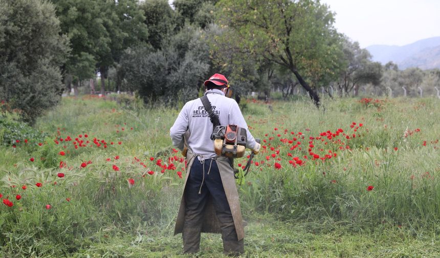Efeler'in Ekiplerinden Mezarlıklarda Kapsamlı Çalışma