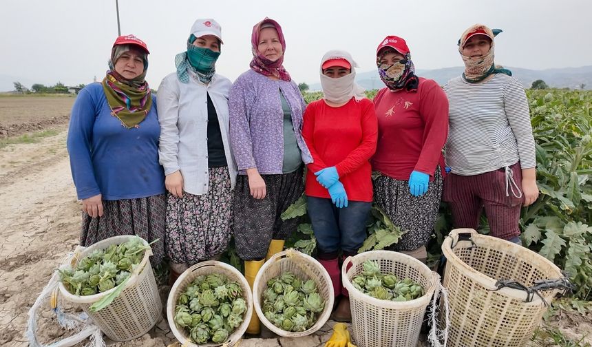 Efeler'in "Topraktan Tabağa" Projesi Türkiye'ye Örnek Oldu