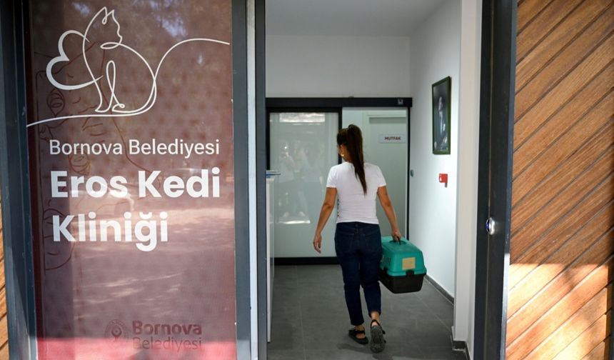 Eros Kedi Kliniği Bornova'da Umut Merkezi Oldu