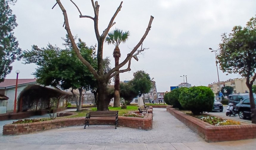 Efeler'de Yeşil Dönüşüm: Gül Esin Parkı Yeni Yüzüyle Işıldıyor