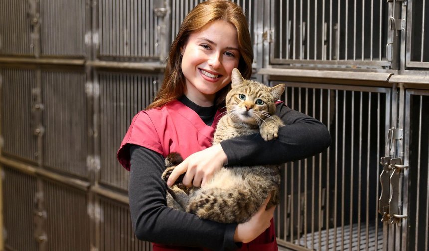 Buca'da 599 Patili Dost Sıcak Yuvaya Kavuştu