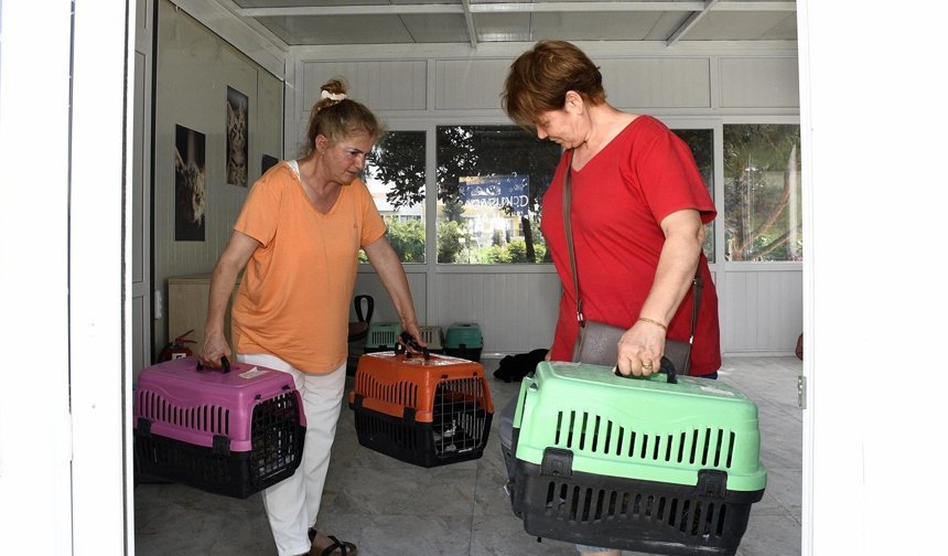 Kuşadası Belediyesi Patili Dostların Her Zaman Yanında
