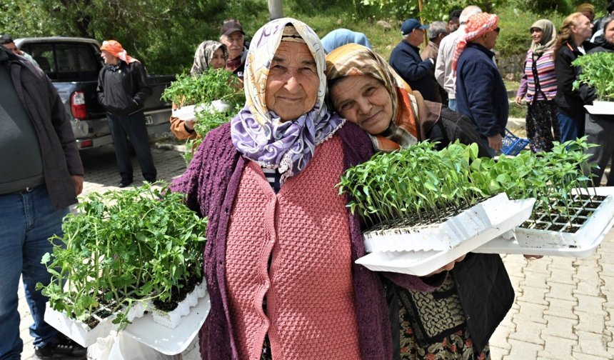 Bornova'dan Üreticiye Can Suyu: 150 Bin Yazlık Sebze Fidesi Dağıtıldı