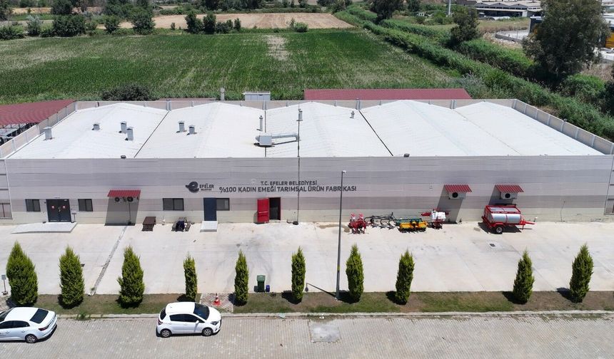 Tarımsal Ürün Fabrikası ile Kadınlar Üretiyor, Efeler Kazanıyor