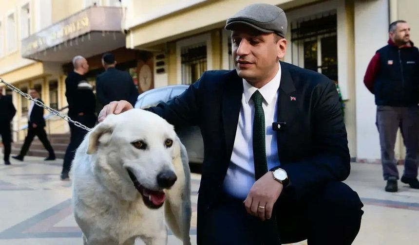 Başkan Eşki'den Hayvanseverlere: "İçiniz Çok Rahat Olsun"
